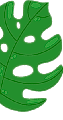 Osmaniye Elysium Baby Spa Masaj Salonu | Bebek ve Bayan Masaj Hizmetleri