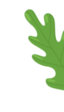 Osmaniye Elysium Baby Spa Masaj Salonu | Bebek ve Bayan Masaj Hizmetleri