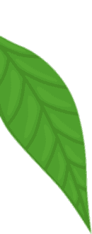 Osmaniye Elysium Baby Spa Masaj Salonu | Bebek ve Bayan Masaj Hizmetleri