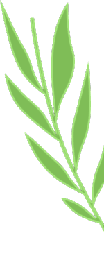 Osmaniye Elysium Baby Spa Masaj Salonu | Bebek ve Bayan Masaj Hizmetleri