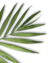 Osmaniye Elysium Baby Spa Masaj Salonu | Bebek ve Bayan Masaj Hizmetleri